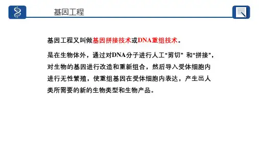 基因工程的工具ppt课件