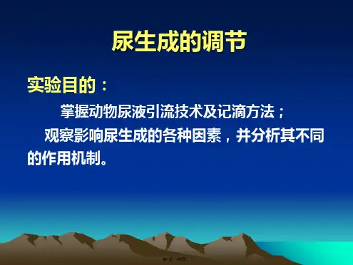 尿生成的调节(共8张PPT)