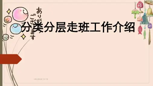 分类分层走班工作介绍