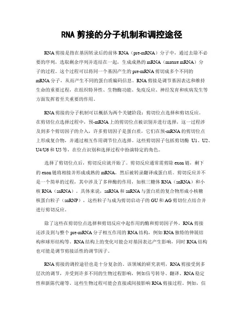 RNA剪接的分子机制和调控途径