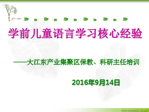 幼儿语言核心经验(111)