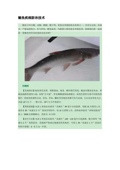 鲢鱼疾病防治技术