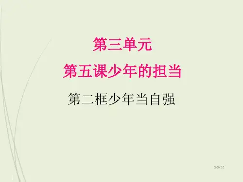 九年级下册道德与法治精品课件5.2少年当自强