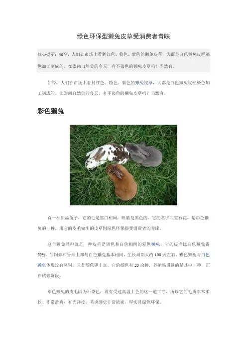 绿色环保型獭兔皮草受消费者青睐