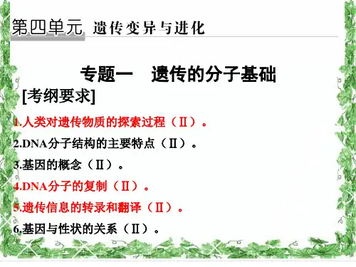 二轮复习：遗传的物质基础(获奖课例)