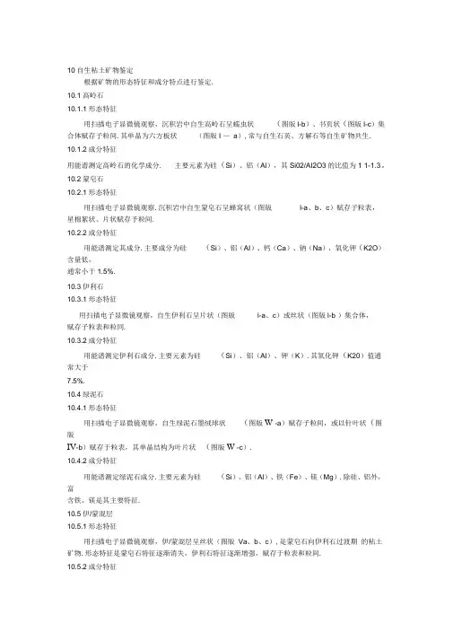 粘土矿物在扫描电镜下的识别综述