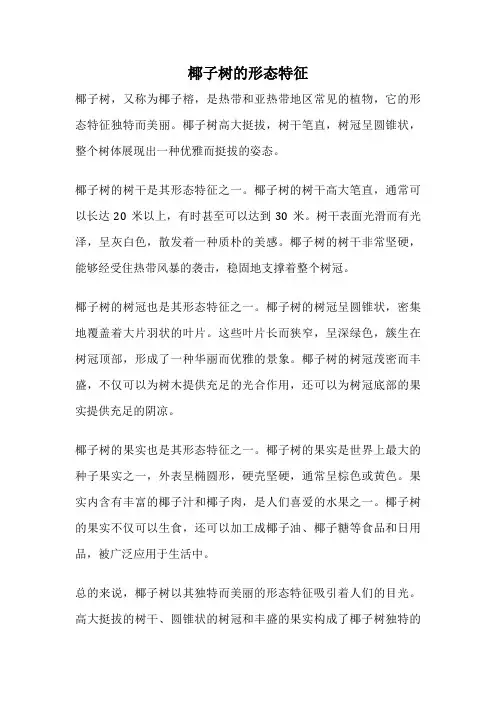 椰子树的形态特征