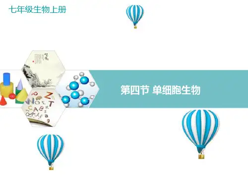 新人教版七年级生物上册第四节单细胞生物课件