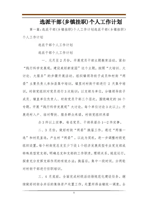 选派干部(乡镇挂职)个人工作计划