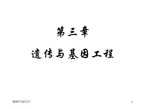 遗传与基因工程PPT课件
