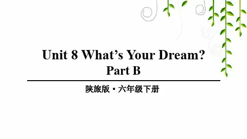 陕旅版六年级英语下册Unit 8 part B课件