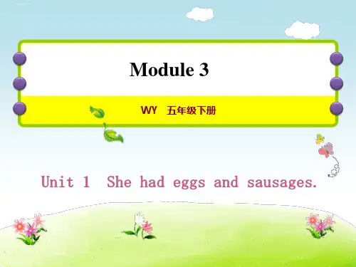 五年级下册英语习题课件-Module 3 Unit1 She had eggs and sausages -外研版(三起) (2)PPT课件