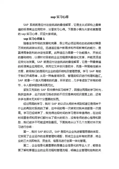 sap实习心得