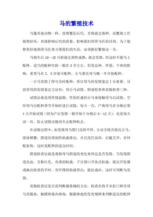 马的繁殖技术
