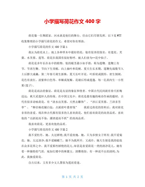 小学描写荷花作文400字
