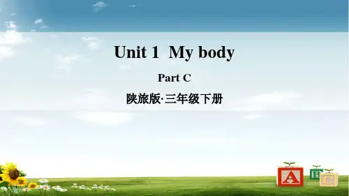 陕旅版三年级英语下册Unit 1  My body课件
