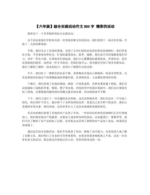 【六年级】综合实践活动作文800字 精彩的活动