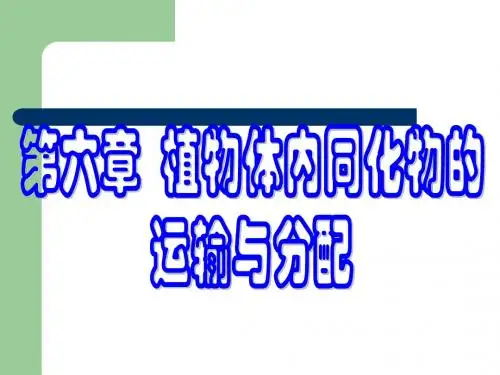 第六章 有机物运输