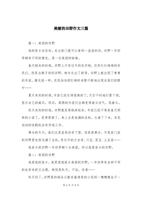 美丽的田野作文三篇