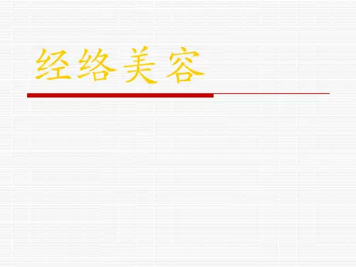 经络美容(中医美容)幻灯片PPT