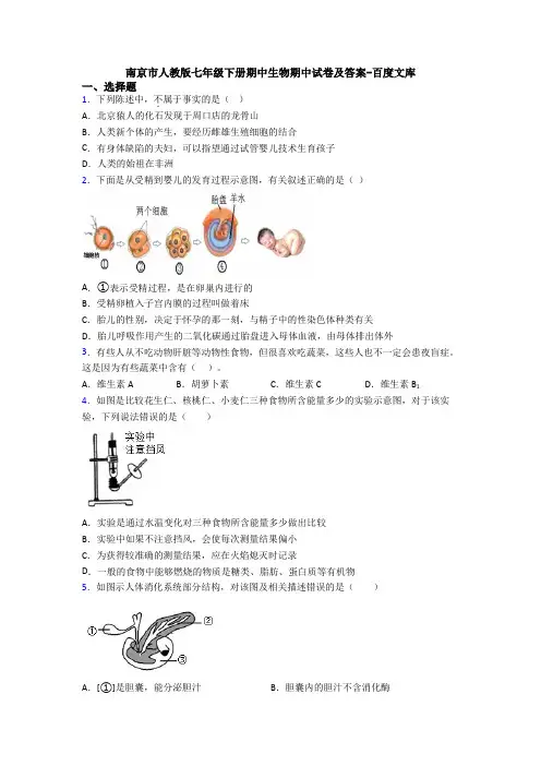南京市人教版七年级下册期中生物期中试卷及答案-百度文库