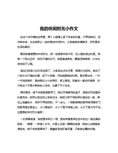 我的休闲时光小作文