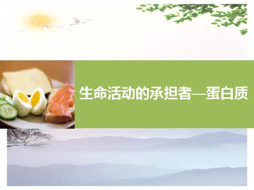 高中生物必修一第2章第2节生命活动的主要承担者——蛋白质  课件(共24张PPT)[优秀课件][优秀课件]
