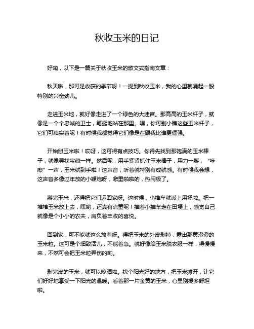秋收玉米的日记