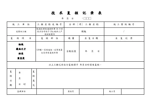 技术复核记录表模板