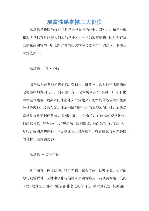 观赏性鹅掌楸三大价值