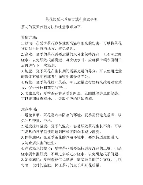 茶花的夏天养殖方法和注意事项