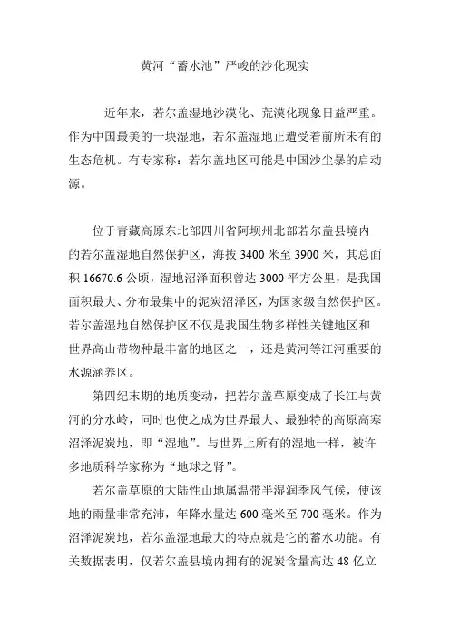 黄河“蓄水池”严峻的沙化现实