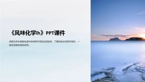 《风味化学lh》课件