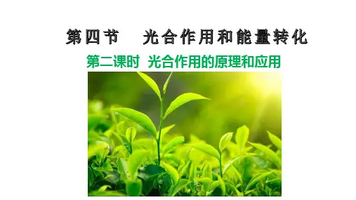5.4.2 光合作用的原理和应用 课件【新教材】人教版(2019)高中生物必修一