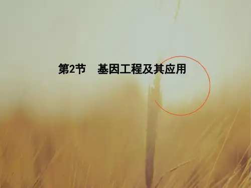 2018学年高中生物必修2课件：第6章 第2节 从杂交育种到基因工程 基因工程及其应用