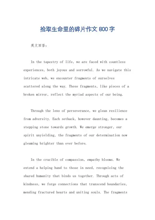 拾取生命里的碎片作文800字