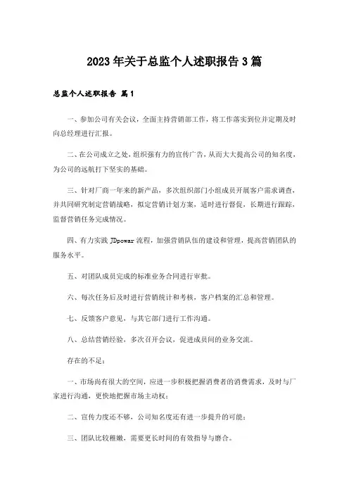 2023年关于总监个人述职报告3篇