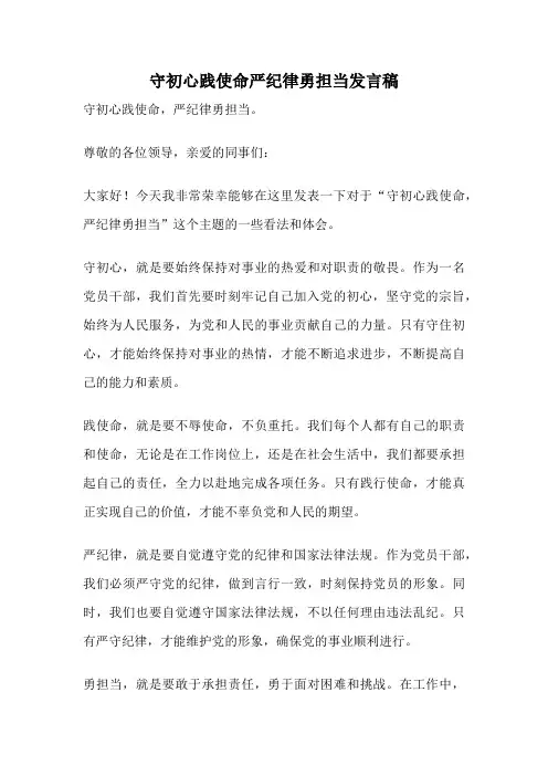 守初心践使命严纪律勇担当发言稿