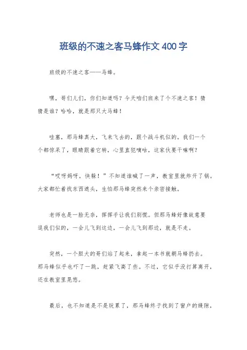 班级的不速之客马蜂作文400字