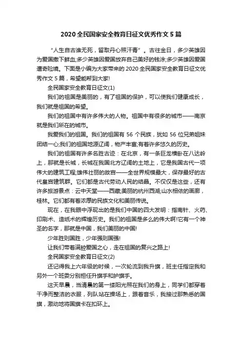 2020全民国家安全教育日征文优秀作文5篇