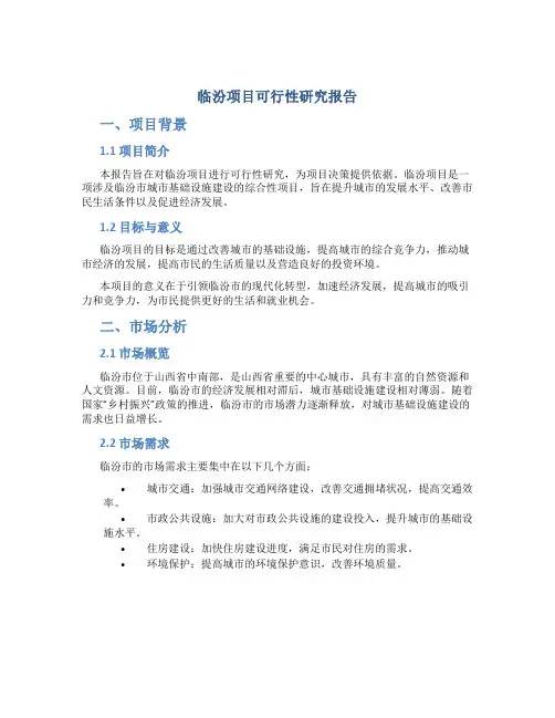 临汾项目可行性研究报告