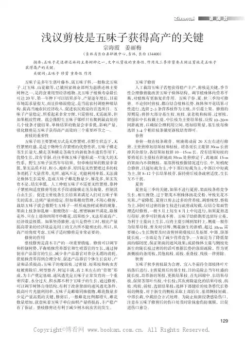 浅谈剪枝是五味子获得高产的关键
