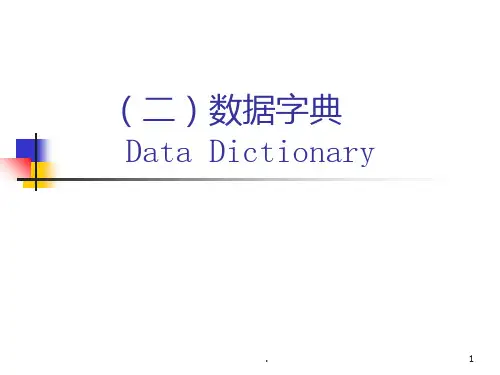 如何画数据字典PPT课件