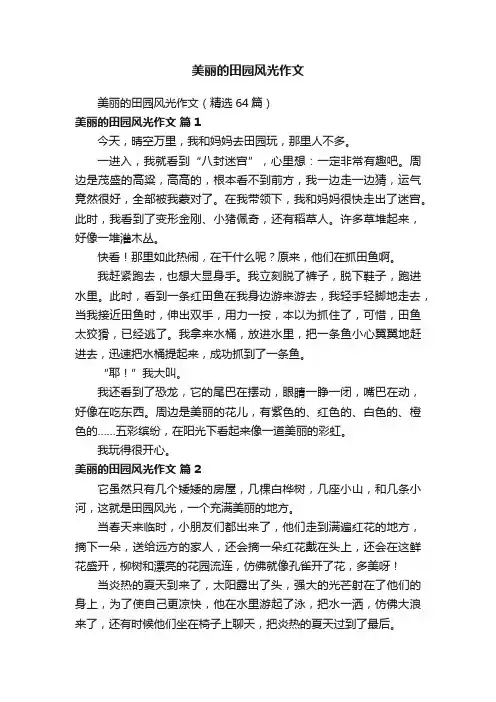 美丽的田园风光作文