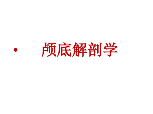 耳鼻喉头颈外科PPT课件 颅底解剖学及颅底肿瘤手术概论