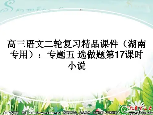 2013届高考语文第二轮考点专题复习课件33