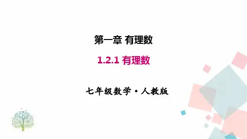 人教版七年级数学上册第一章 1.2.1 有理数  优秀教学PPT课件