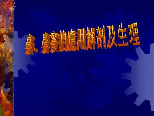 耳鼻喉PPT课件：鼻、鼻窦的解剖及生理慢性鼻炎
