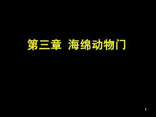 第三章海绵动物门