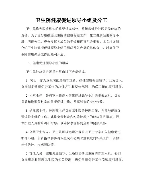 卫生院健康促进领导小组及分工
